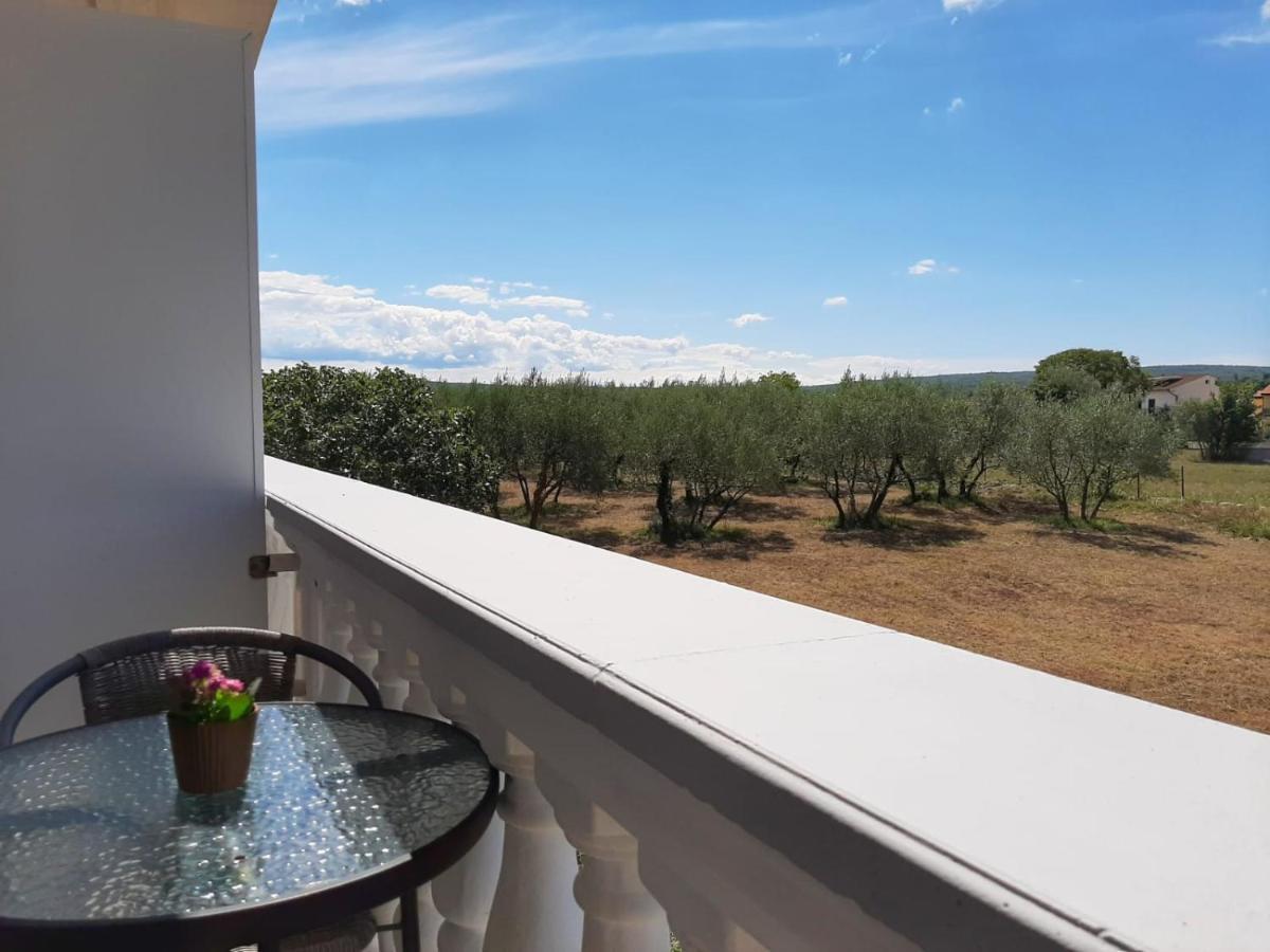 Guest House Katarina مالينسكا المظهر الخارجي الصورة