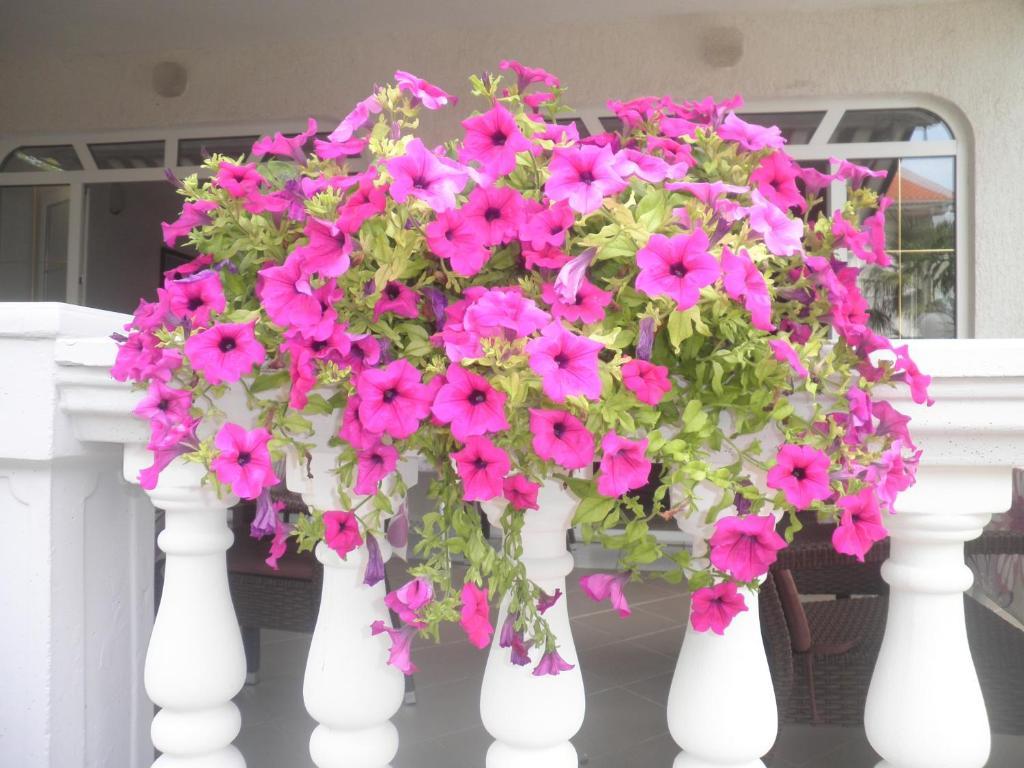 Guest House Katarina مالينسكا المظهر الخارجي الصورة