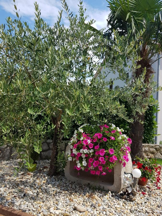 Guest House Katarina مالينسكا المظهر الخارجي الصورة